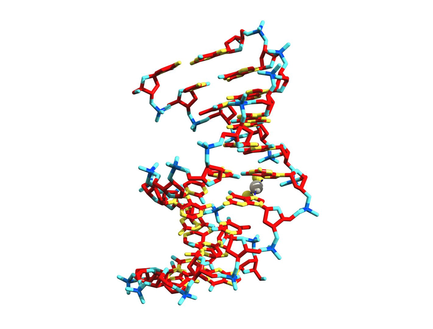 Cisplatin DNA Complex