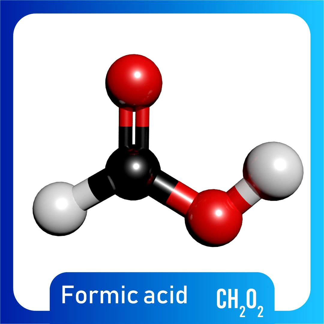 Formic Acid 3D Model CH2O2