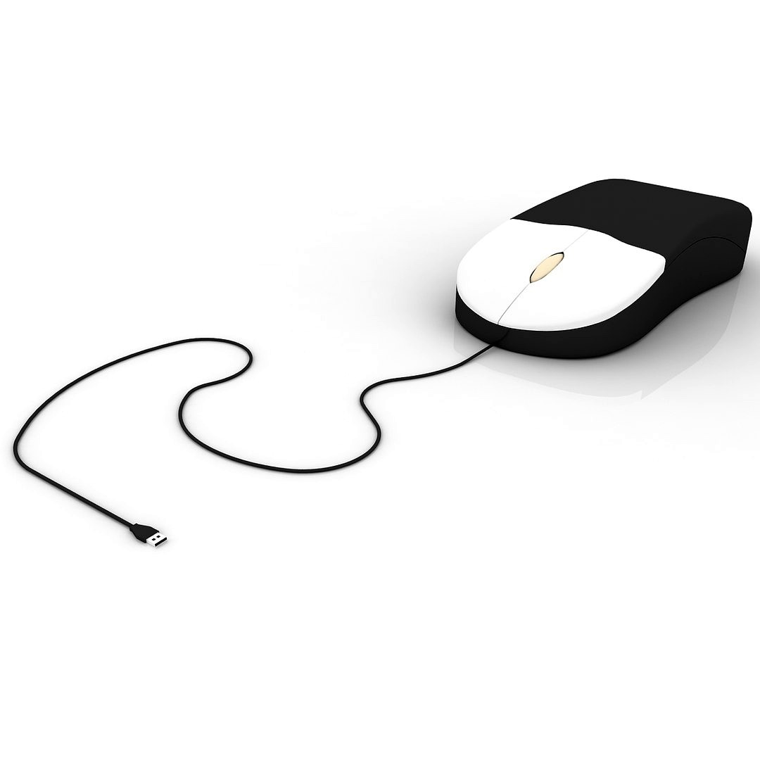 Mouse