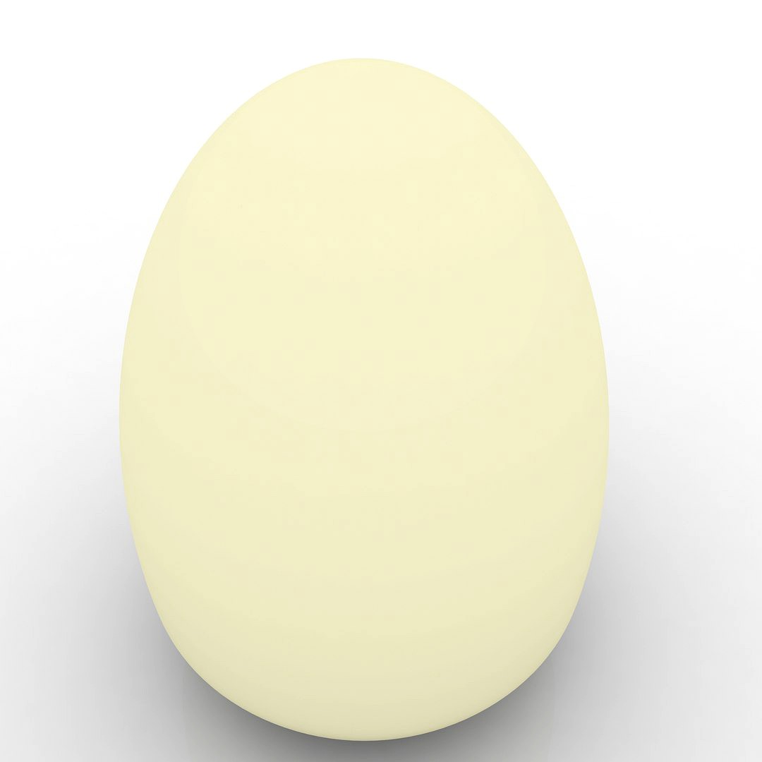 egg