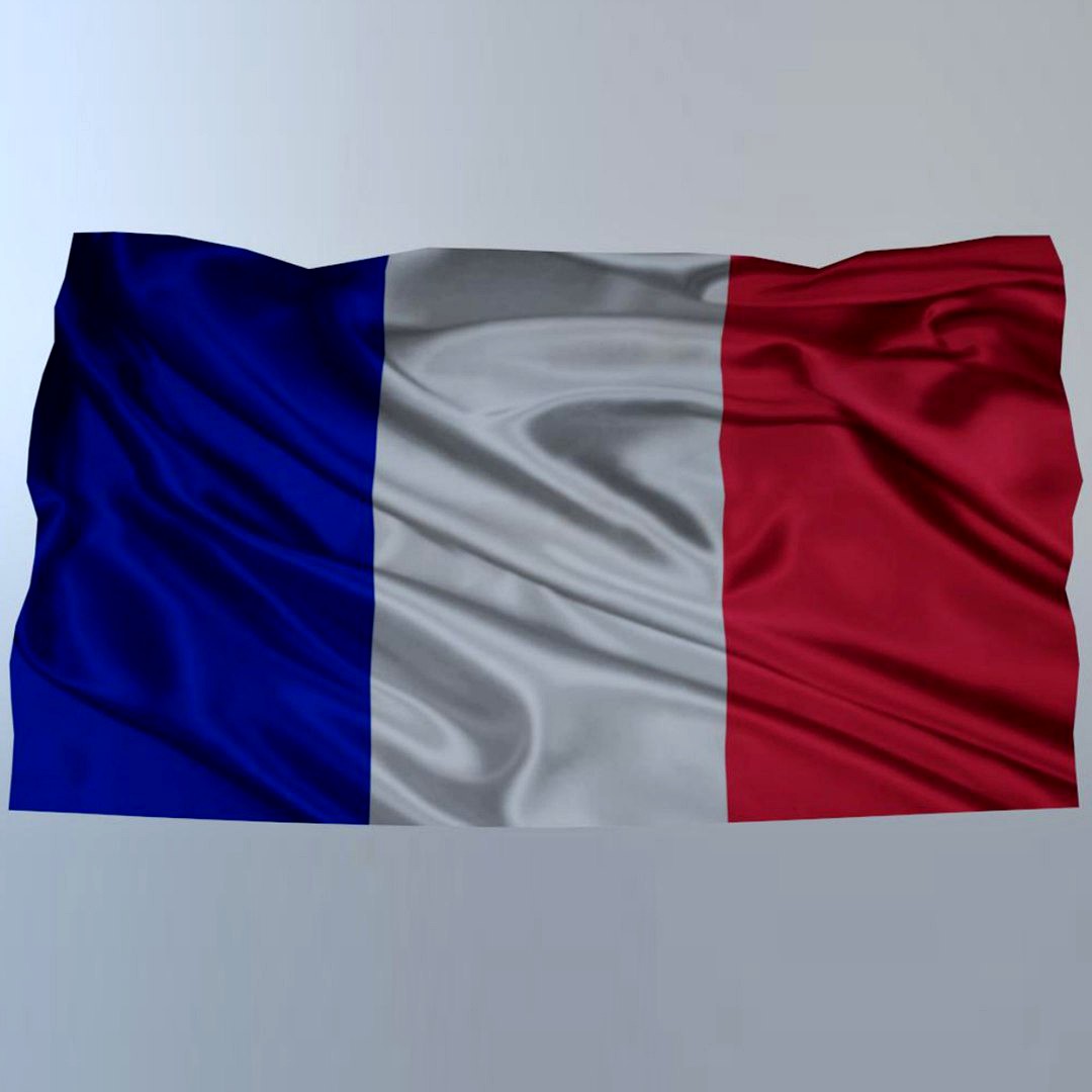 Flag for wall (France)