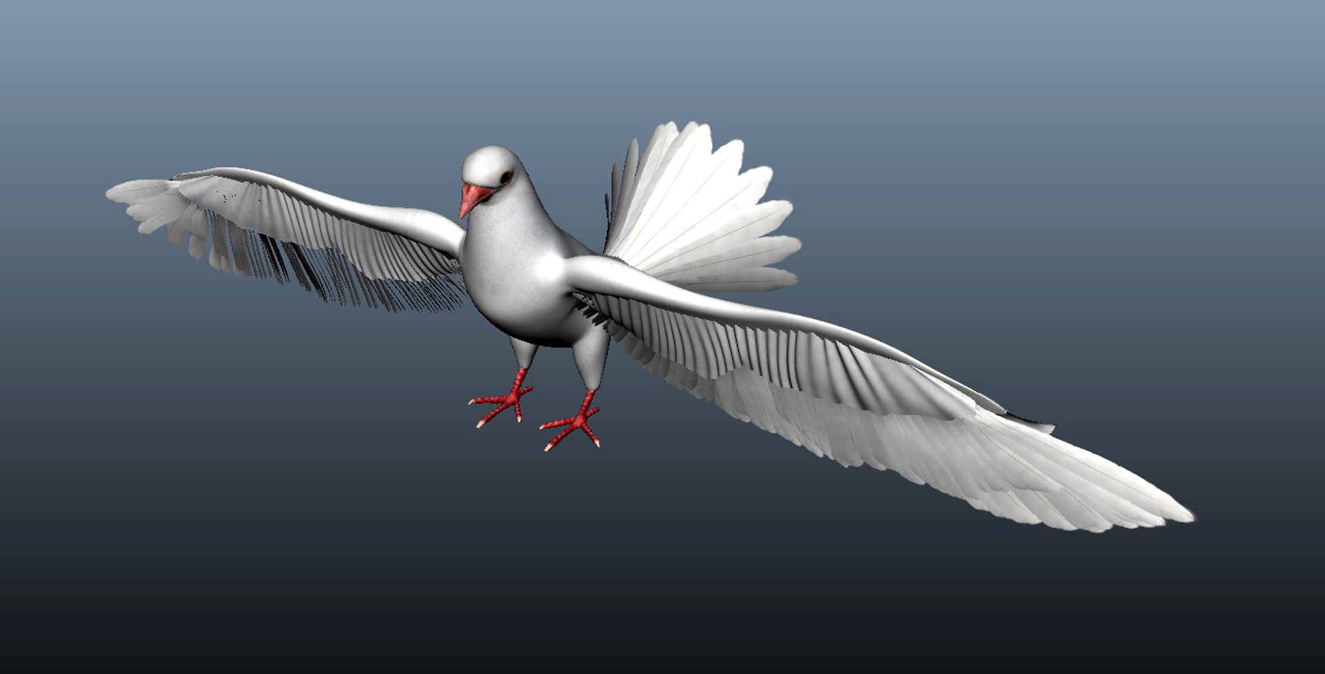 Pigeon