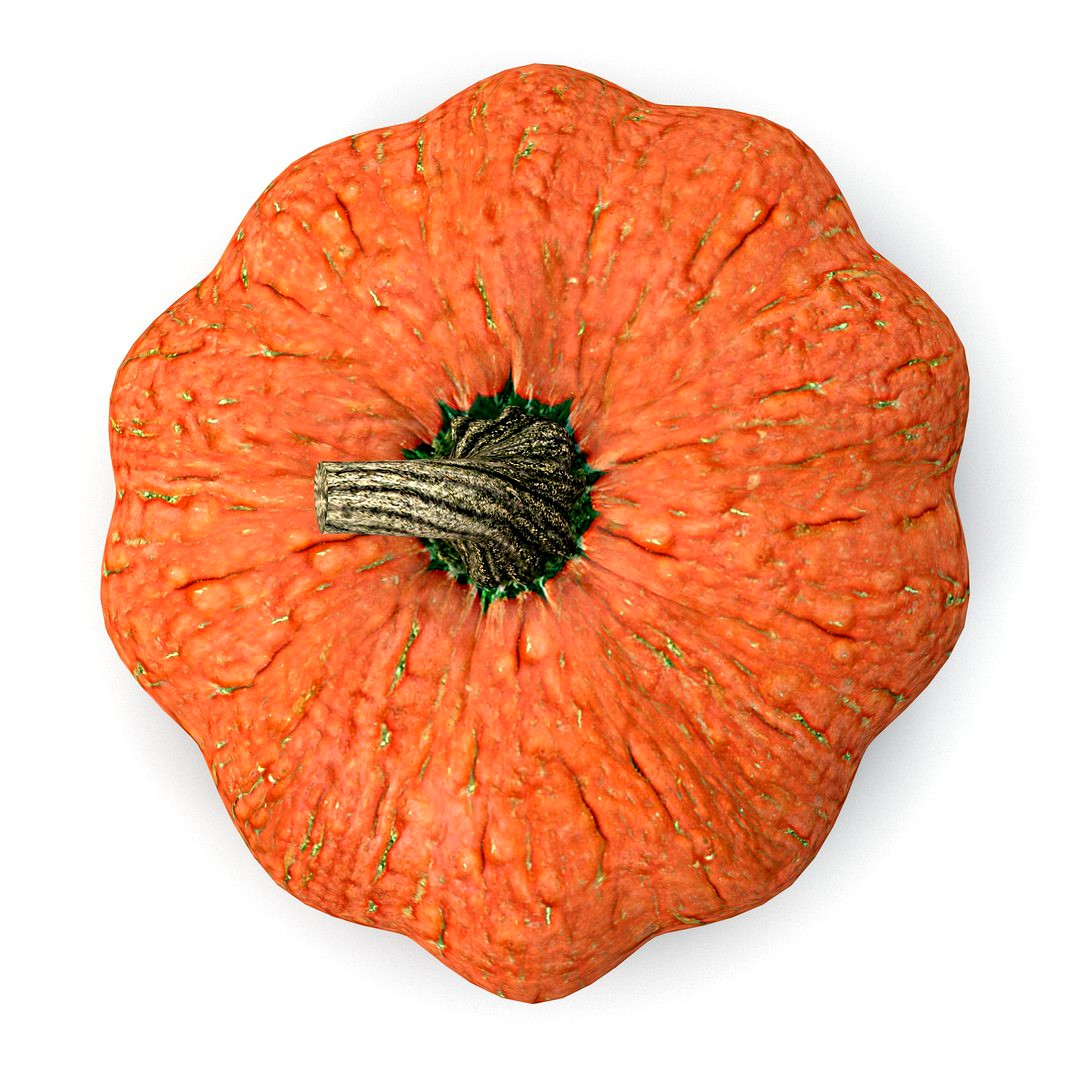 Pumpkin
