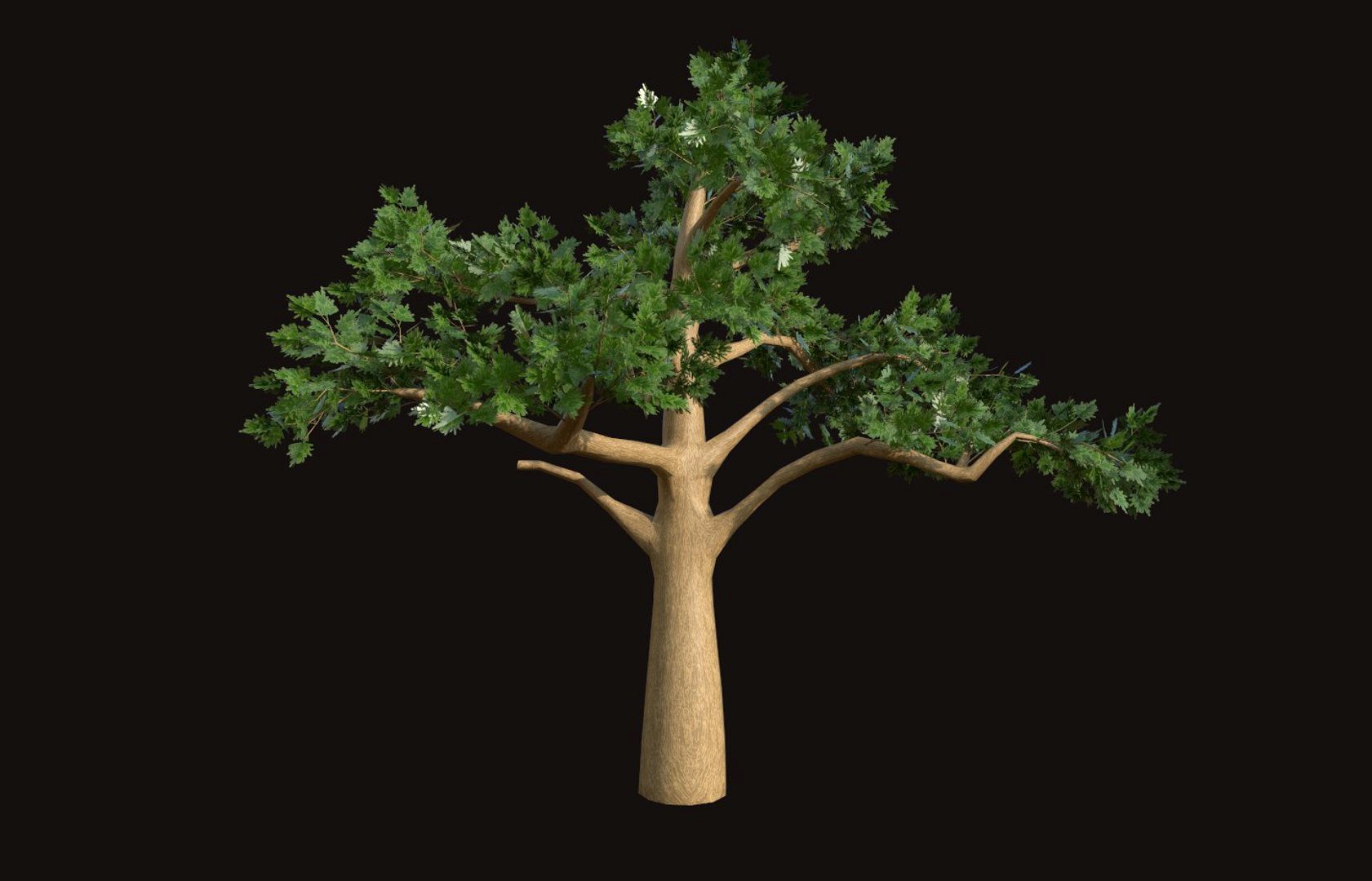 Massive Pine