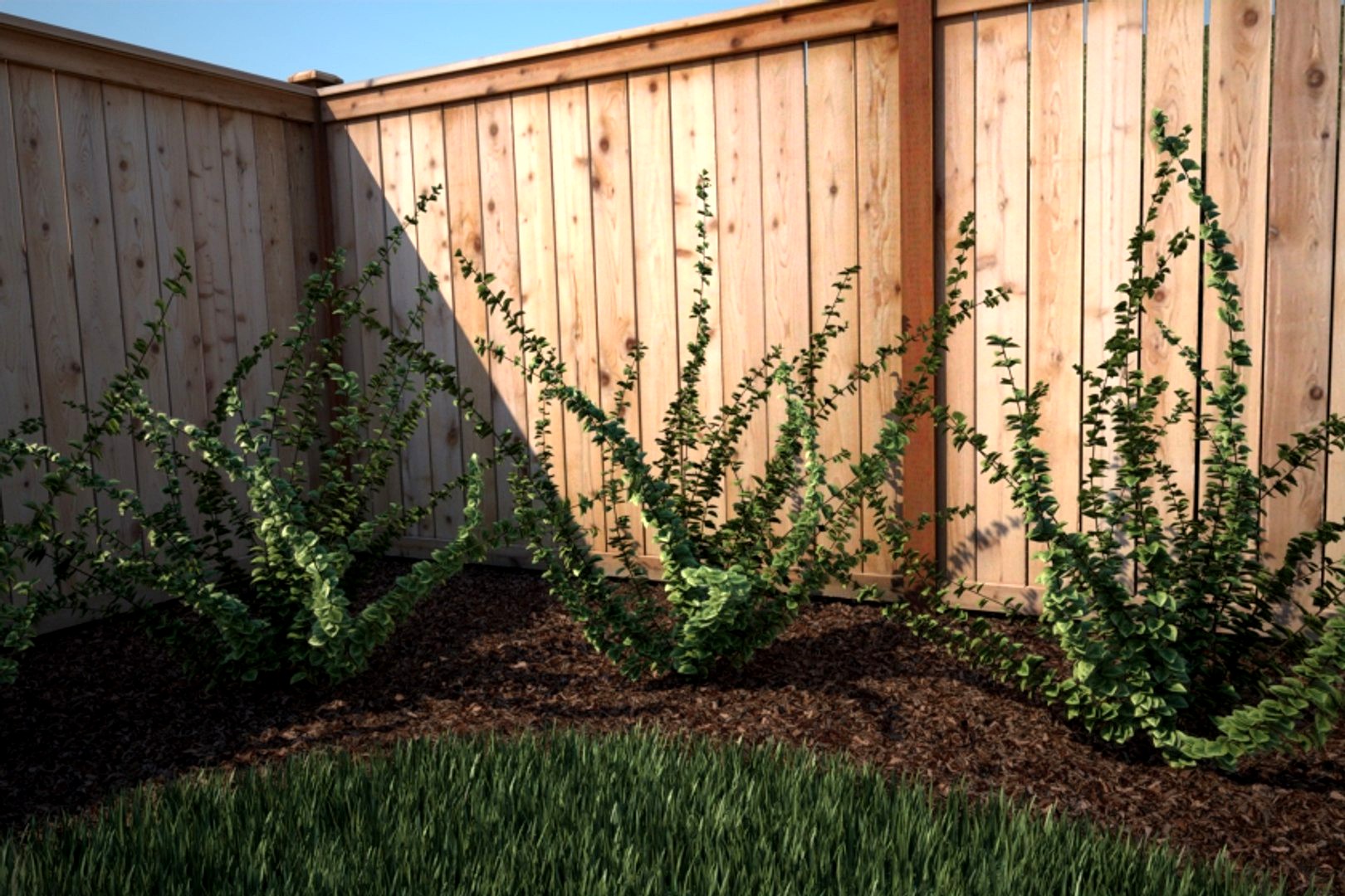 Shrub 2 - Vray Ready