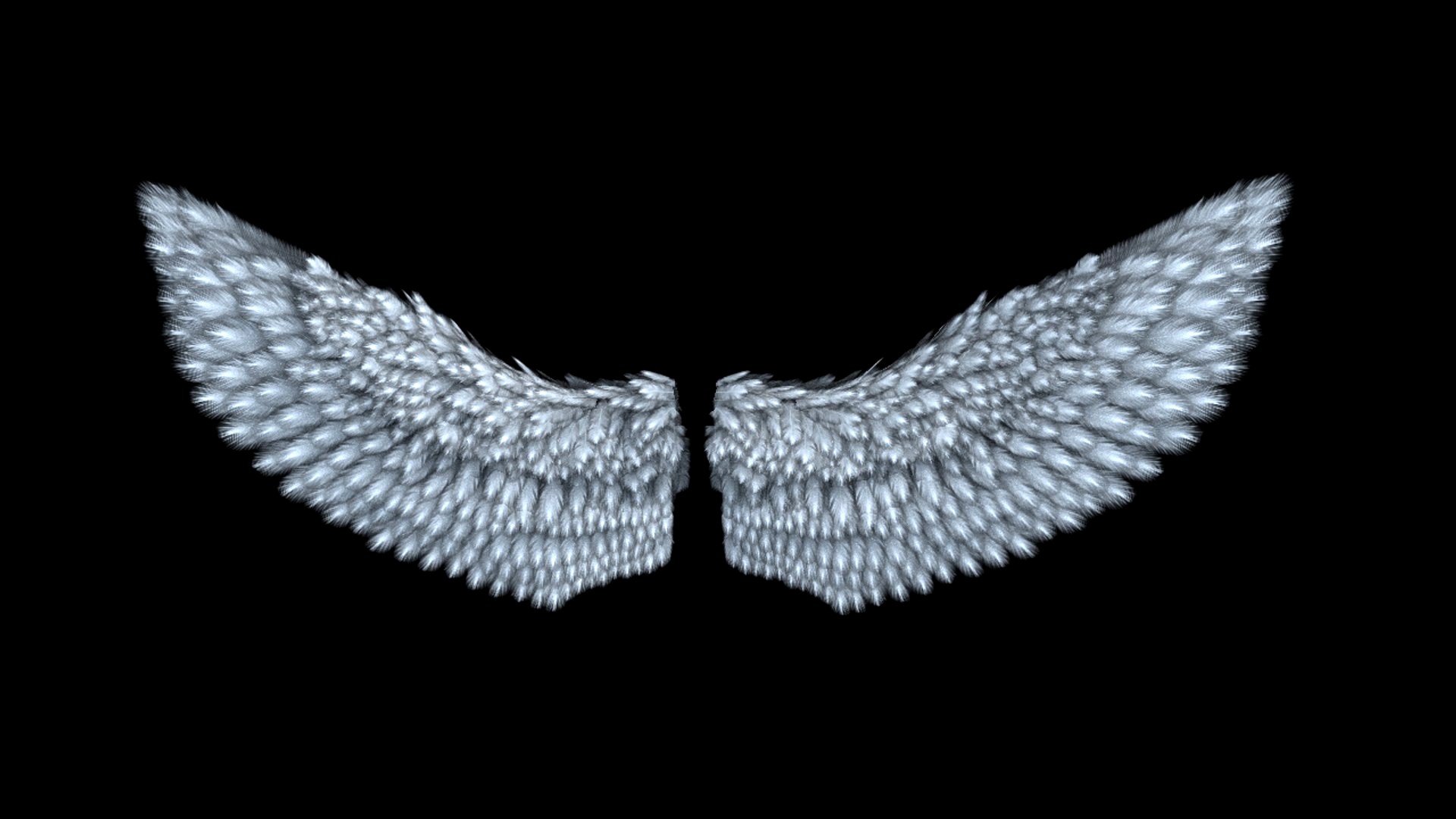 wing