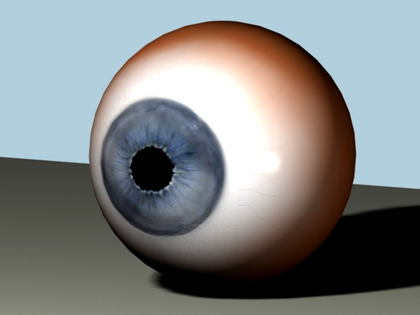 Eye
