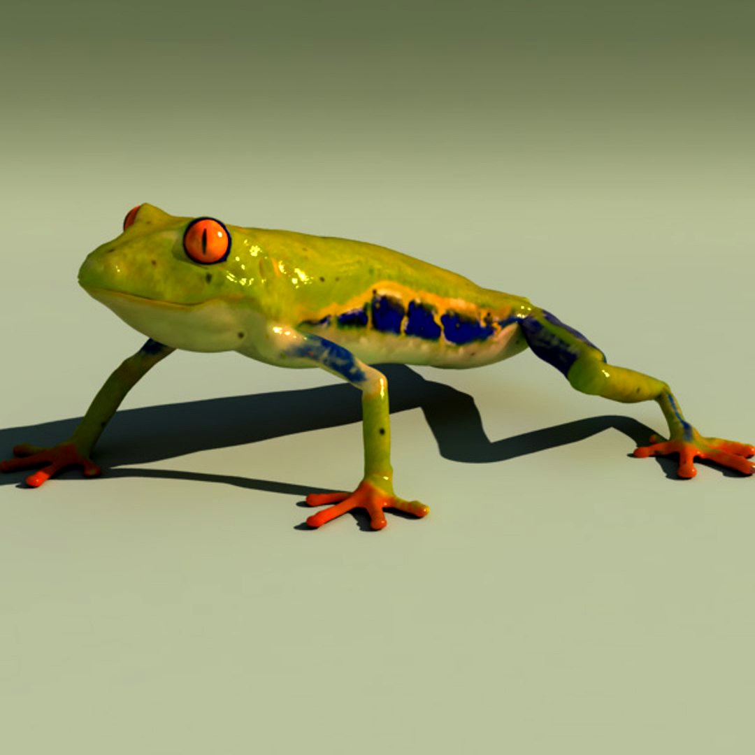 Frog