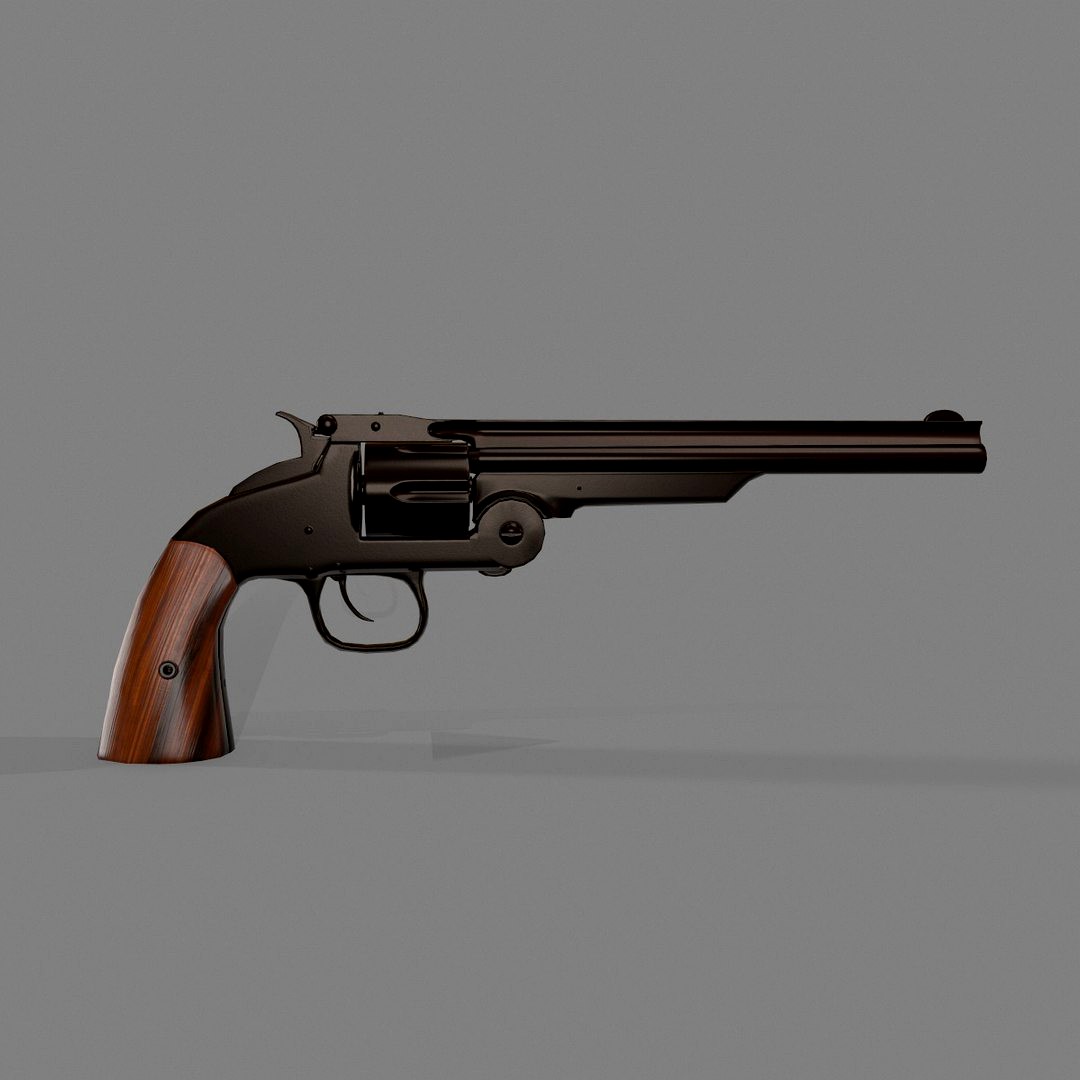 Smith and Wesson Second Gun Model