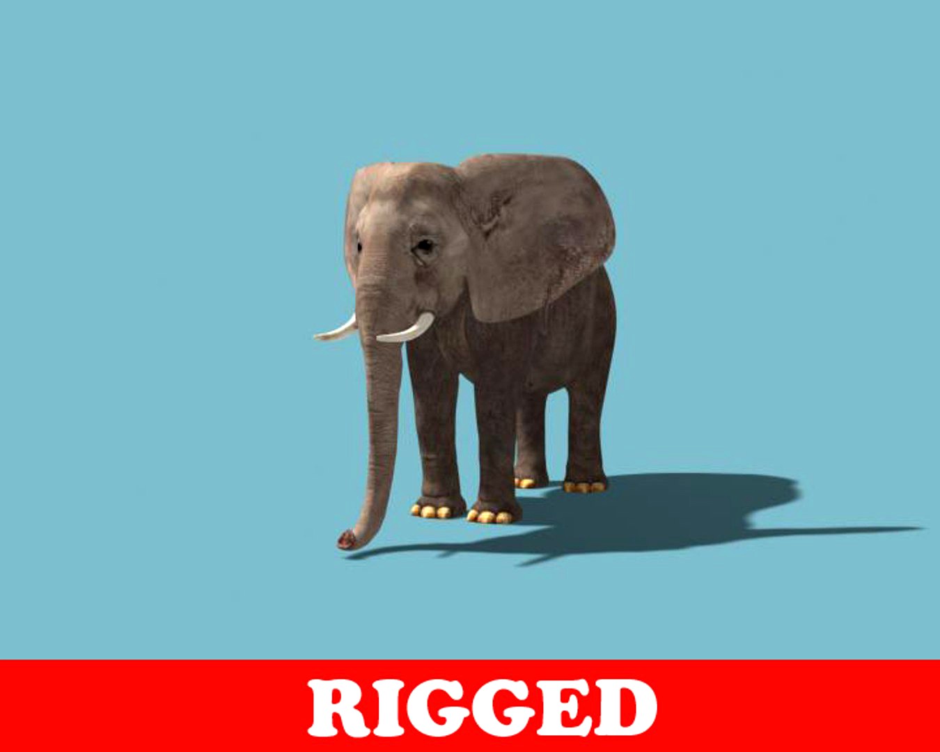 Elephant