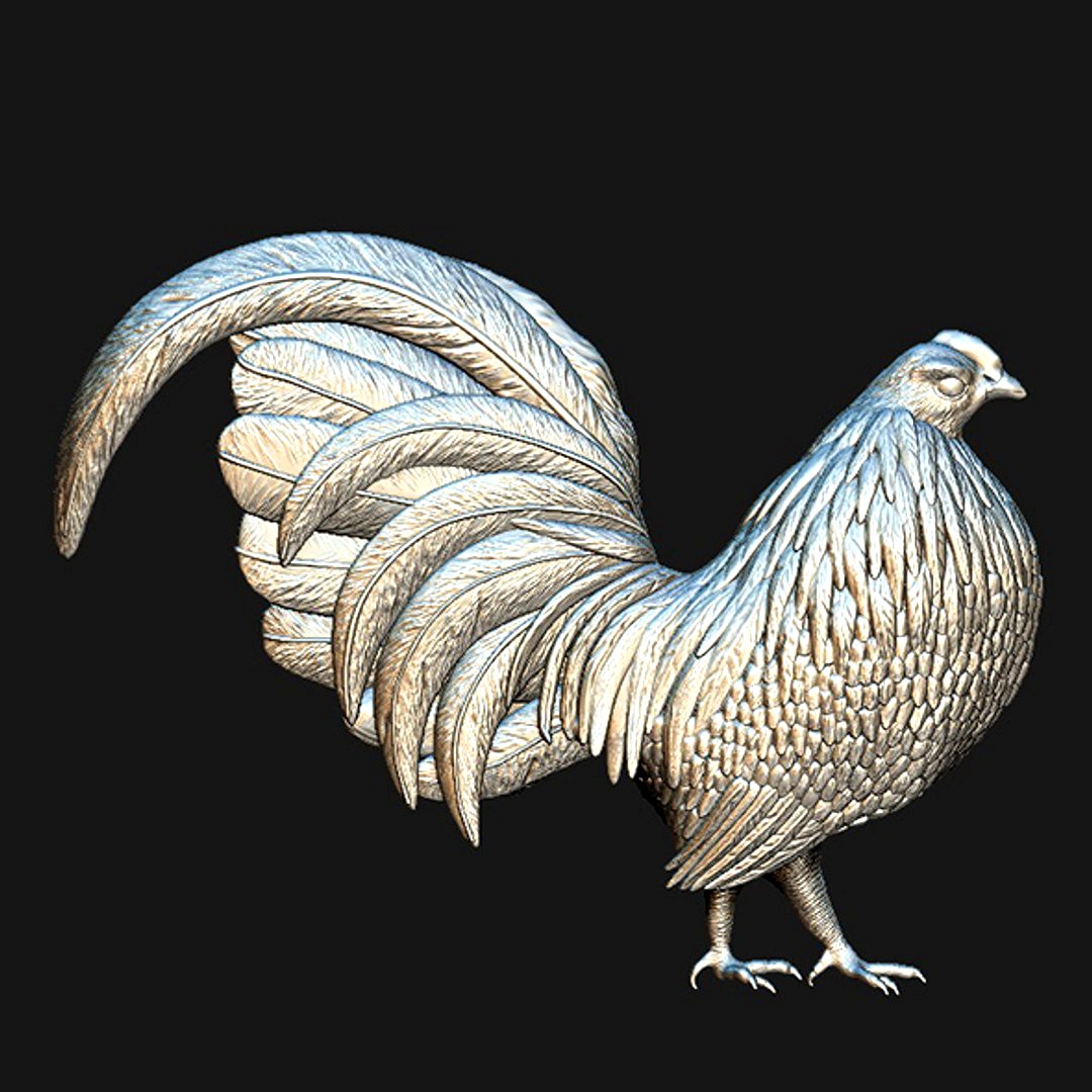 Rooster
