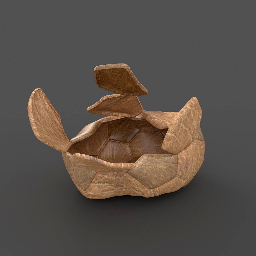 Soccerball exploded old