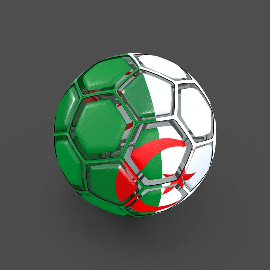 Soccerball dissasembled Algeria