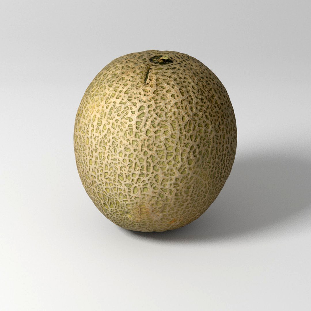 Melon