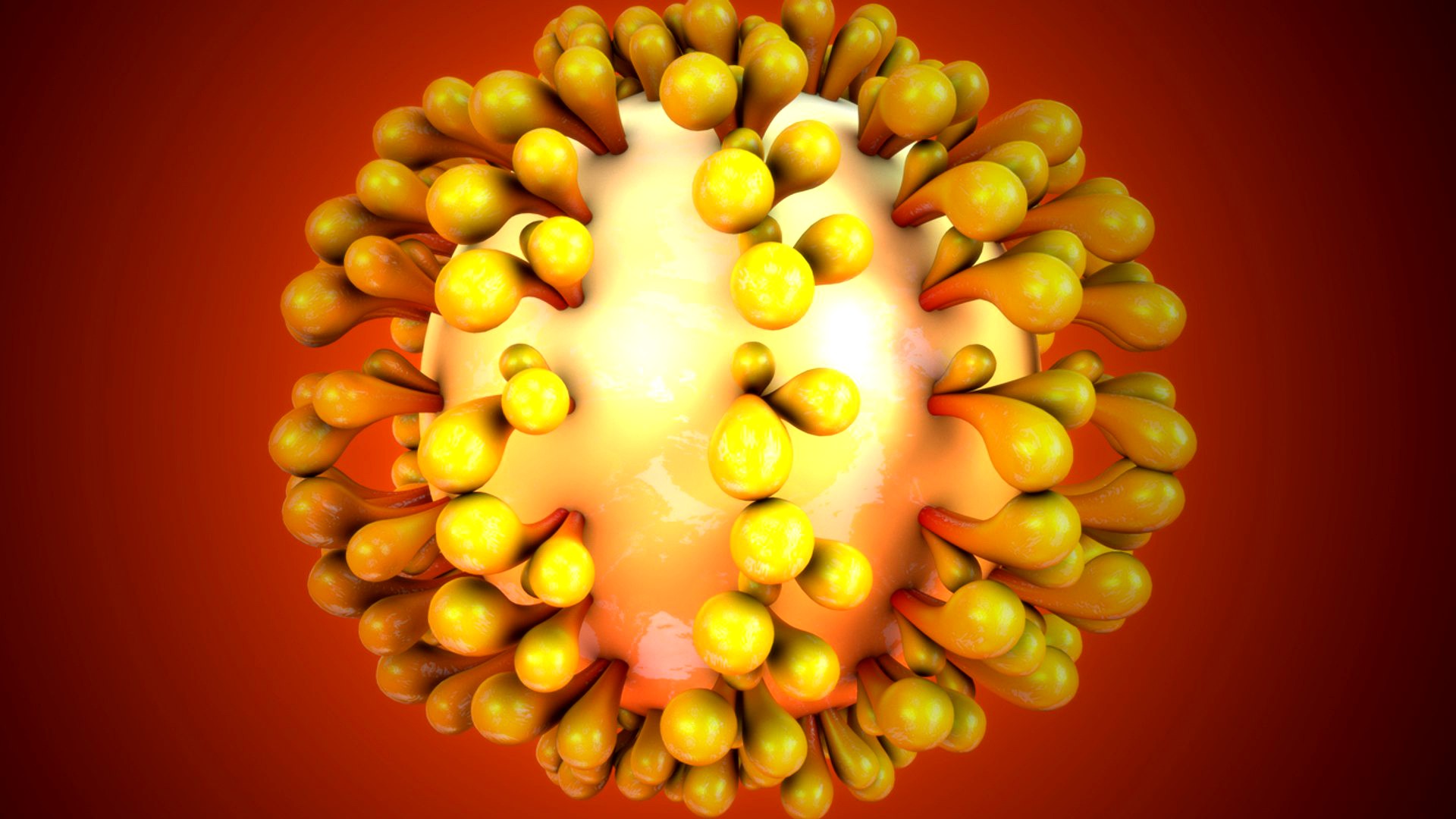 Corona virus