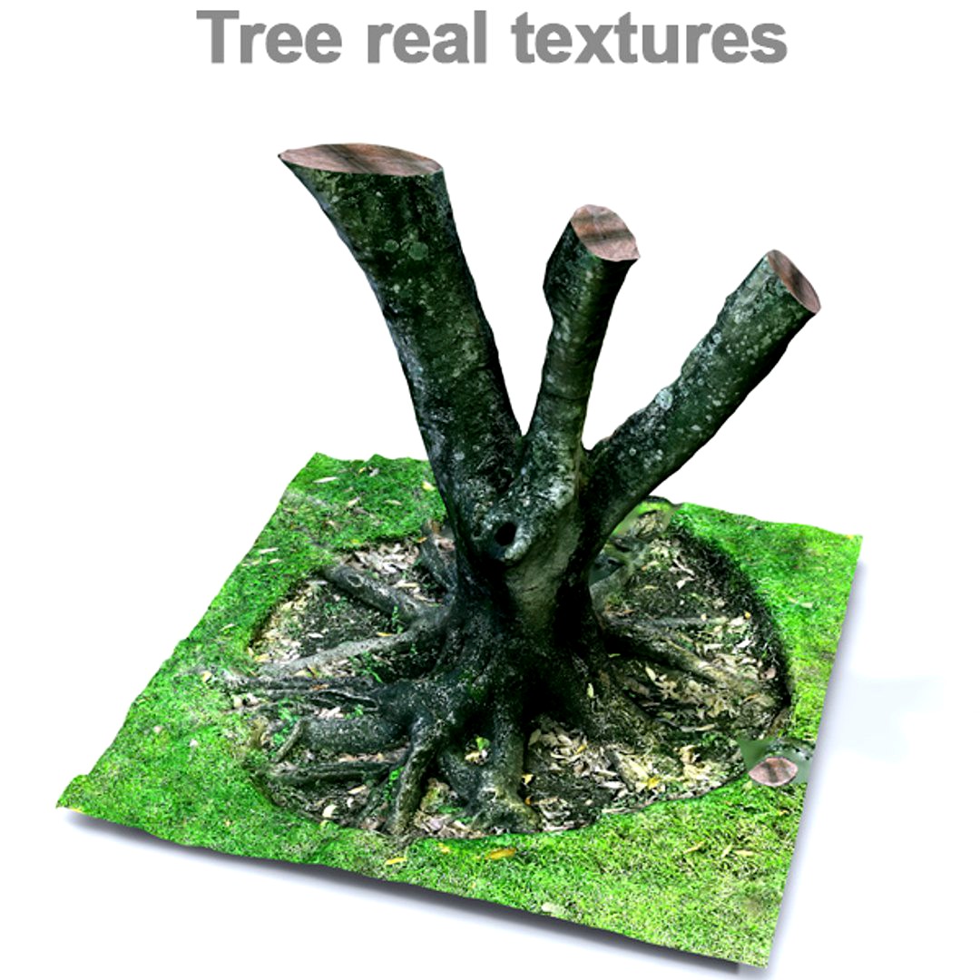 Tree real textures