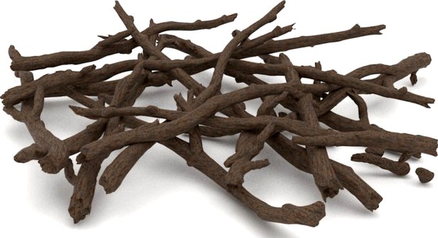 Twigs 2 3D Model