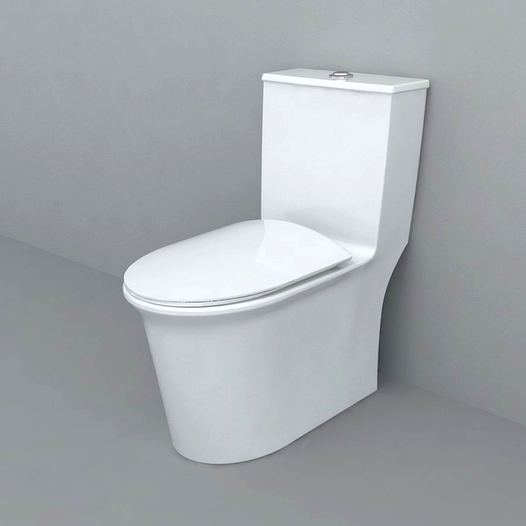toilet(66)