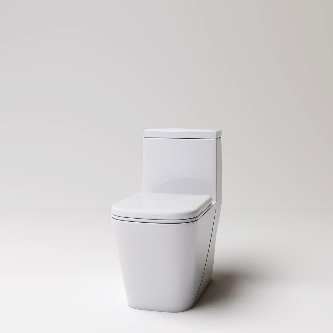 toilet(32)
