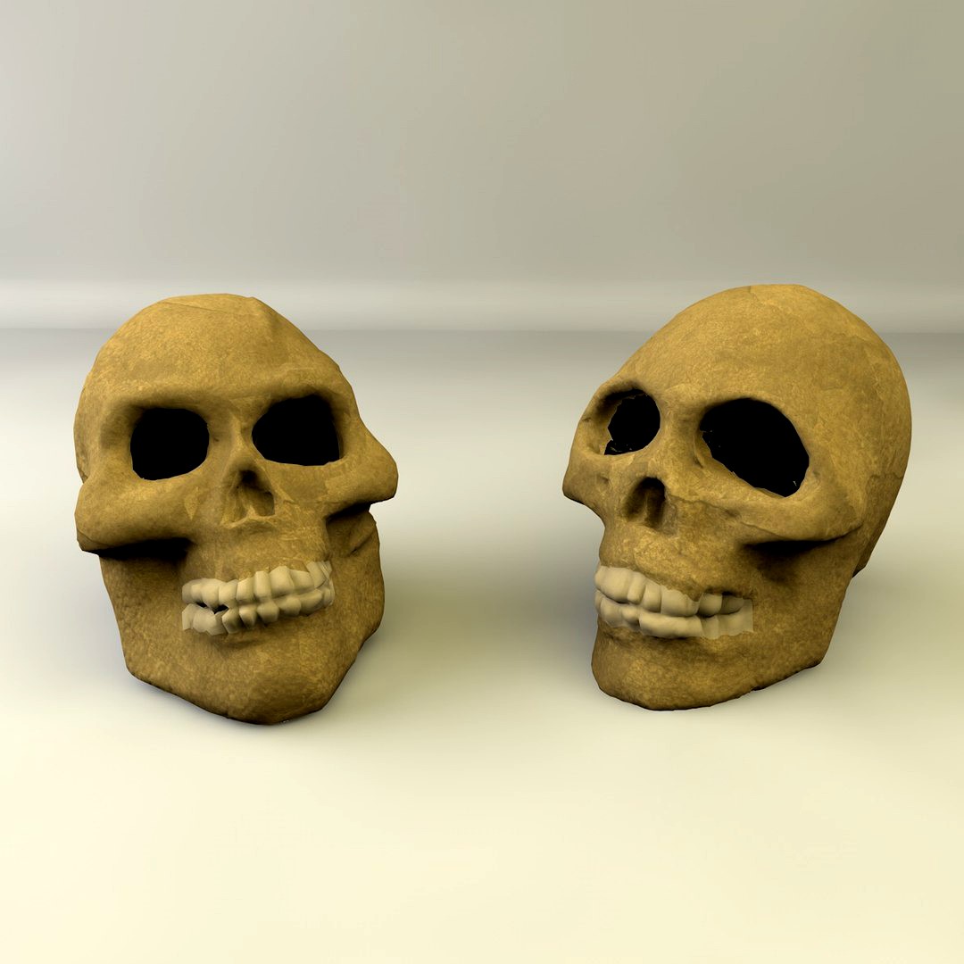 Skull Pair
