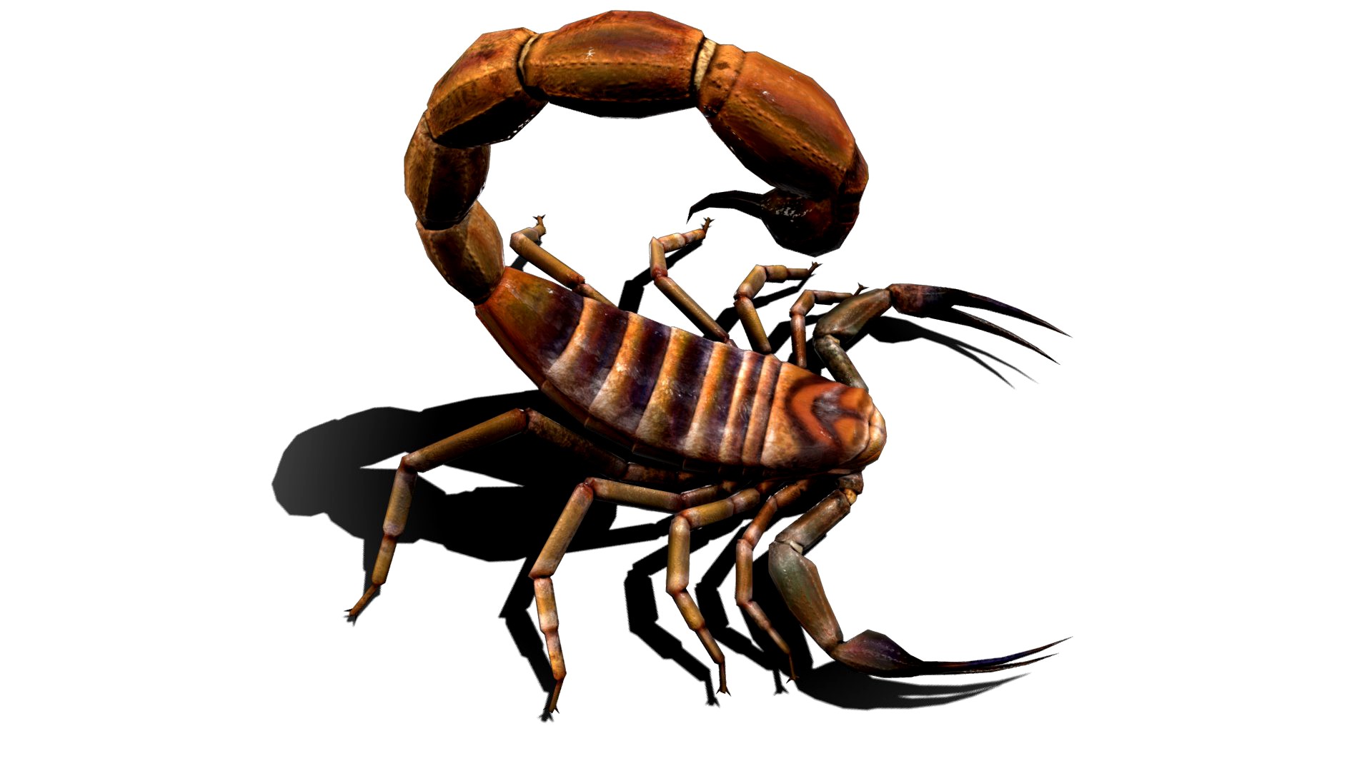 Scorpion High Quality Low-poly