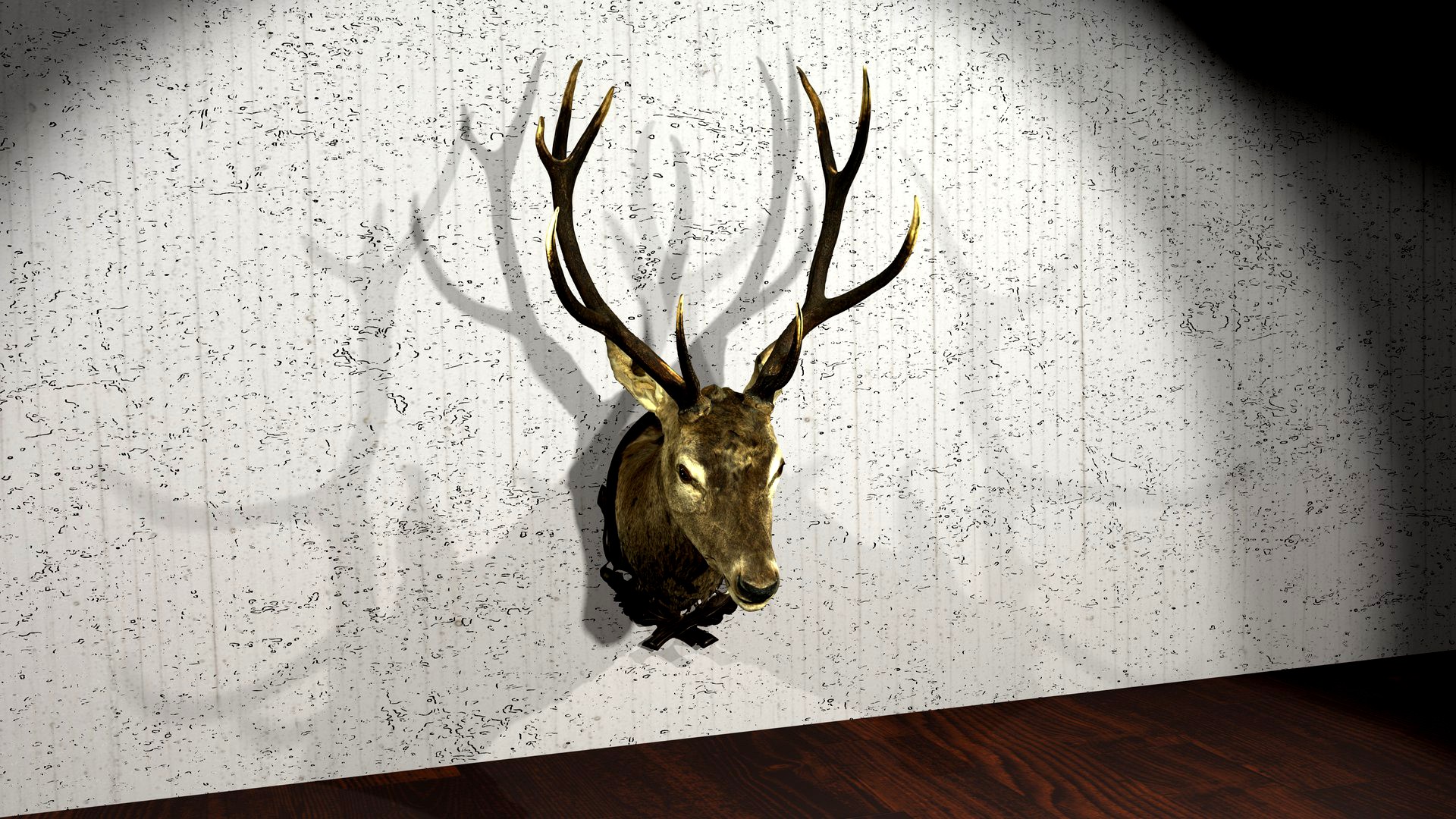 Stag head