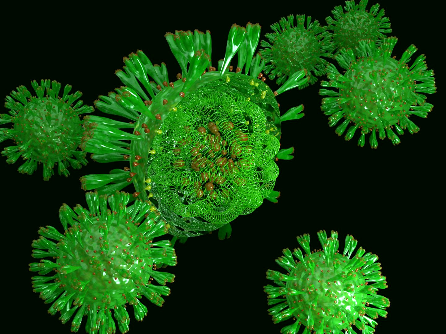 coronavirus structure