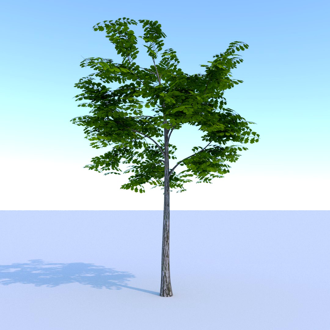 Oak (Summer) Low Poly