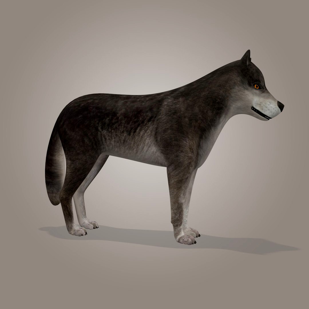 Wolf Model