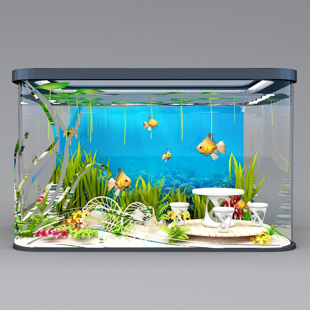 MODERN AQUARIUM