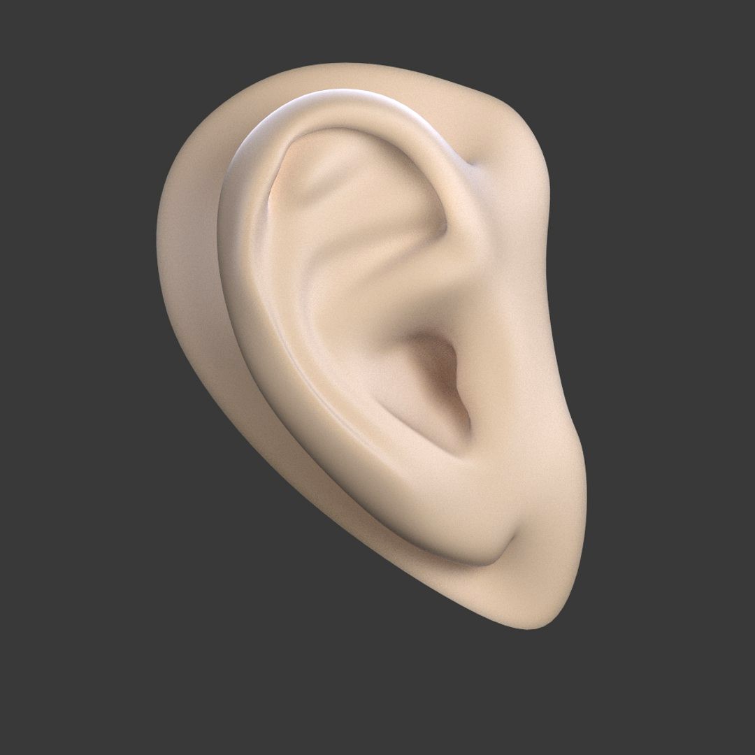 Ear