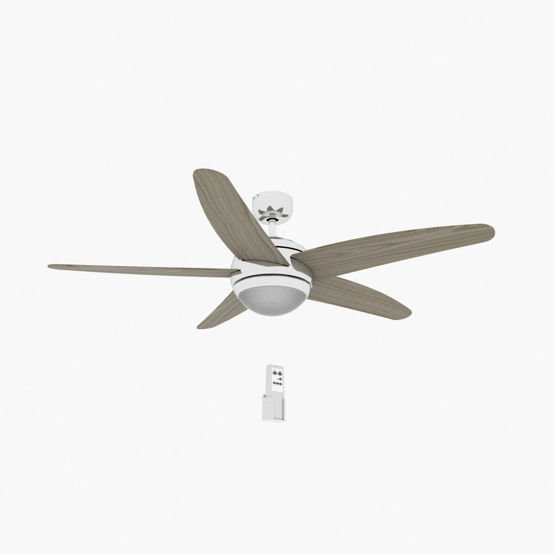 Ceiling ventilator