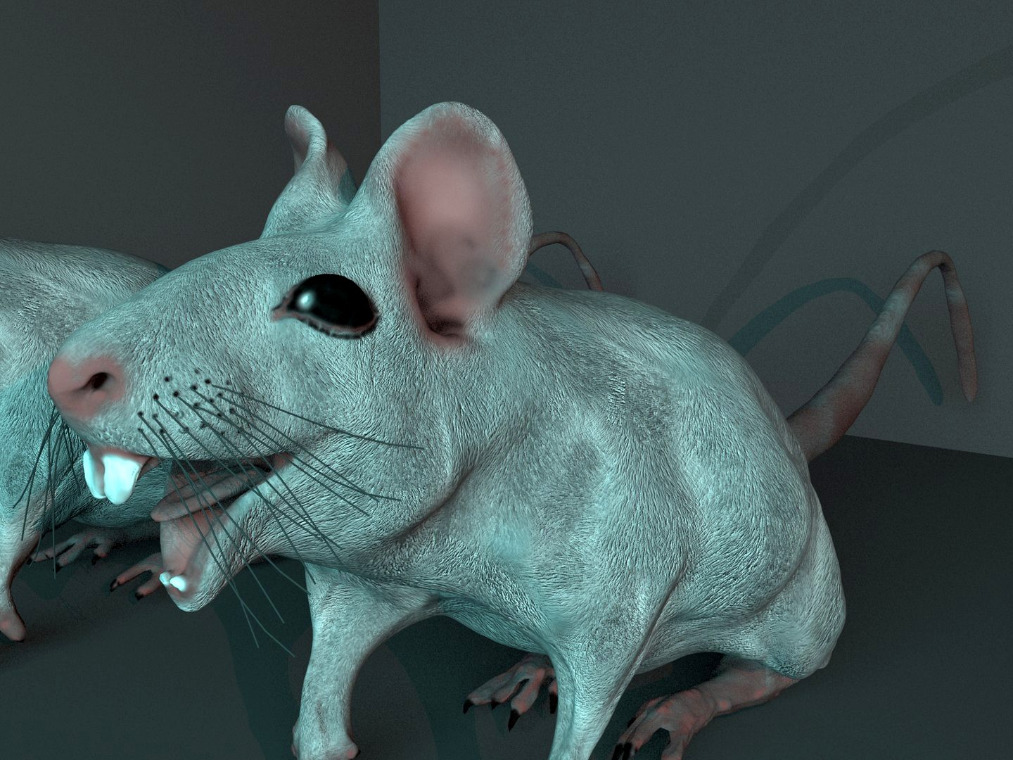 MOUSE