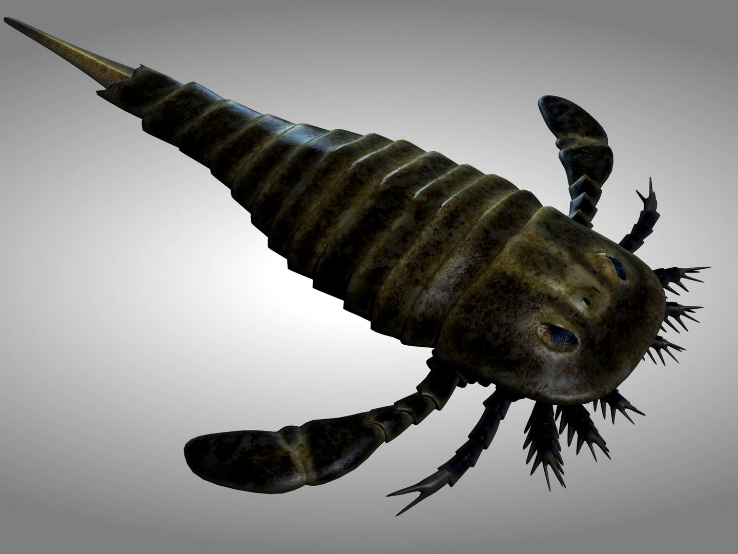 sea scorpion