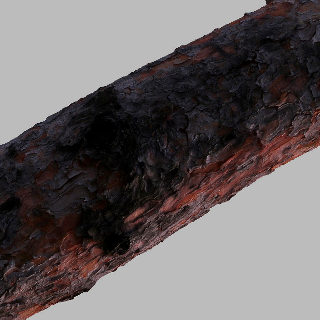 Pine bark RAW scan