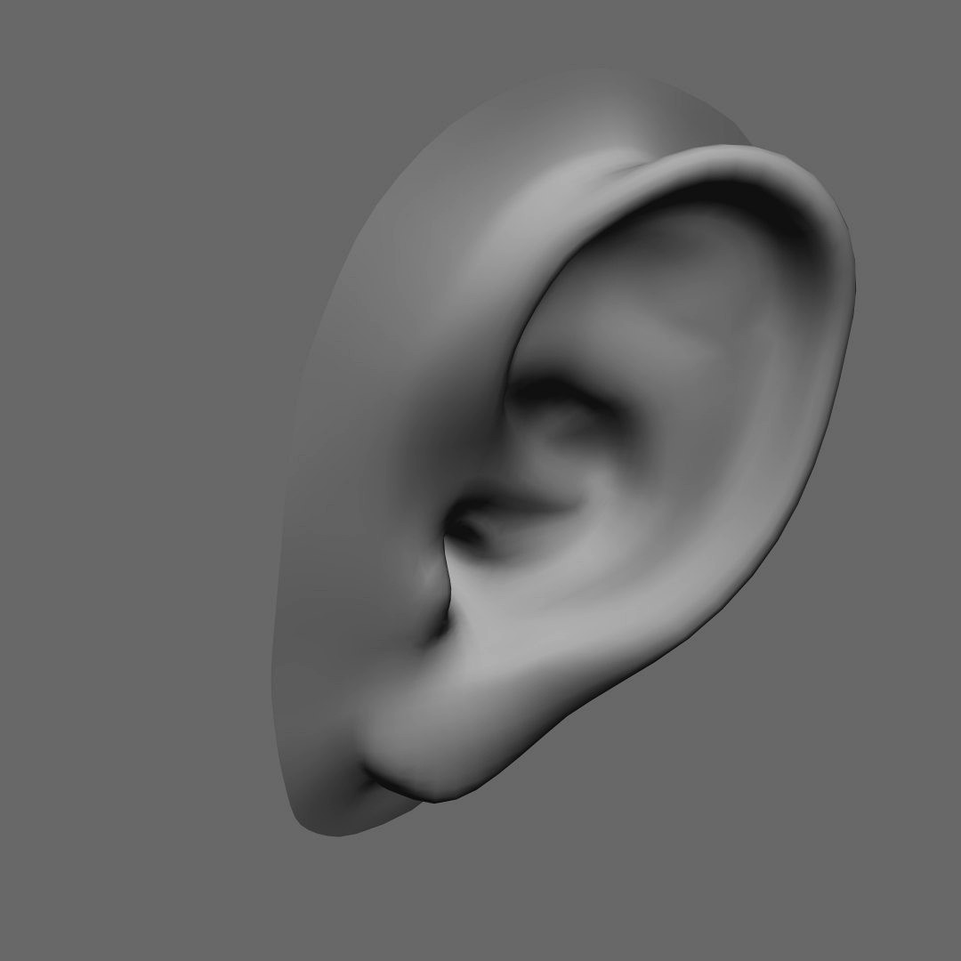 Ear