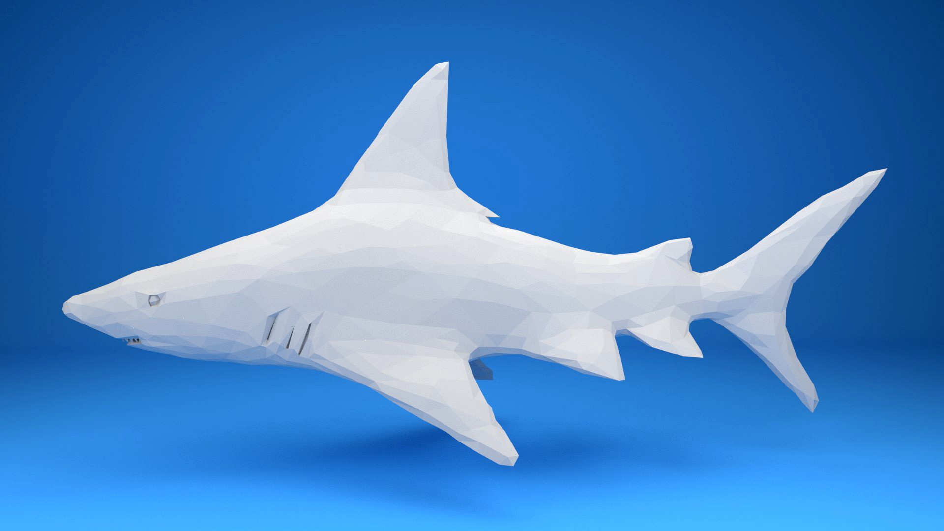 Shark Low poly model for3D print or animation paper style