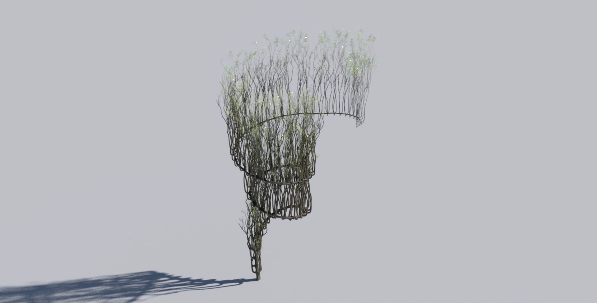 fantasy tree