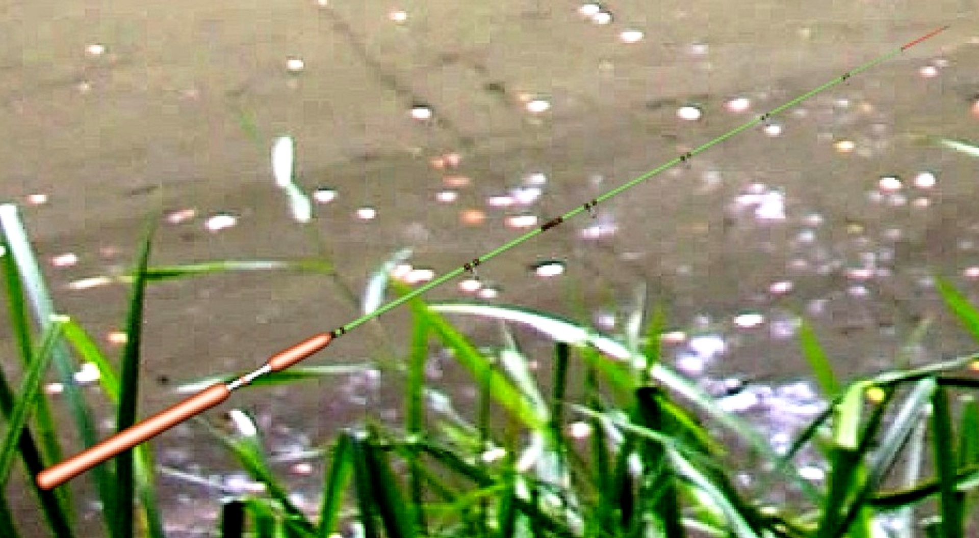 Fishing Pole