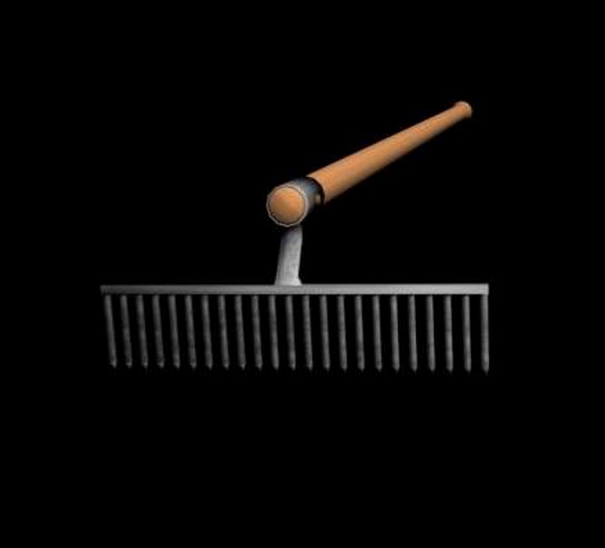 Rake