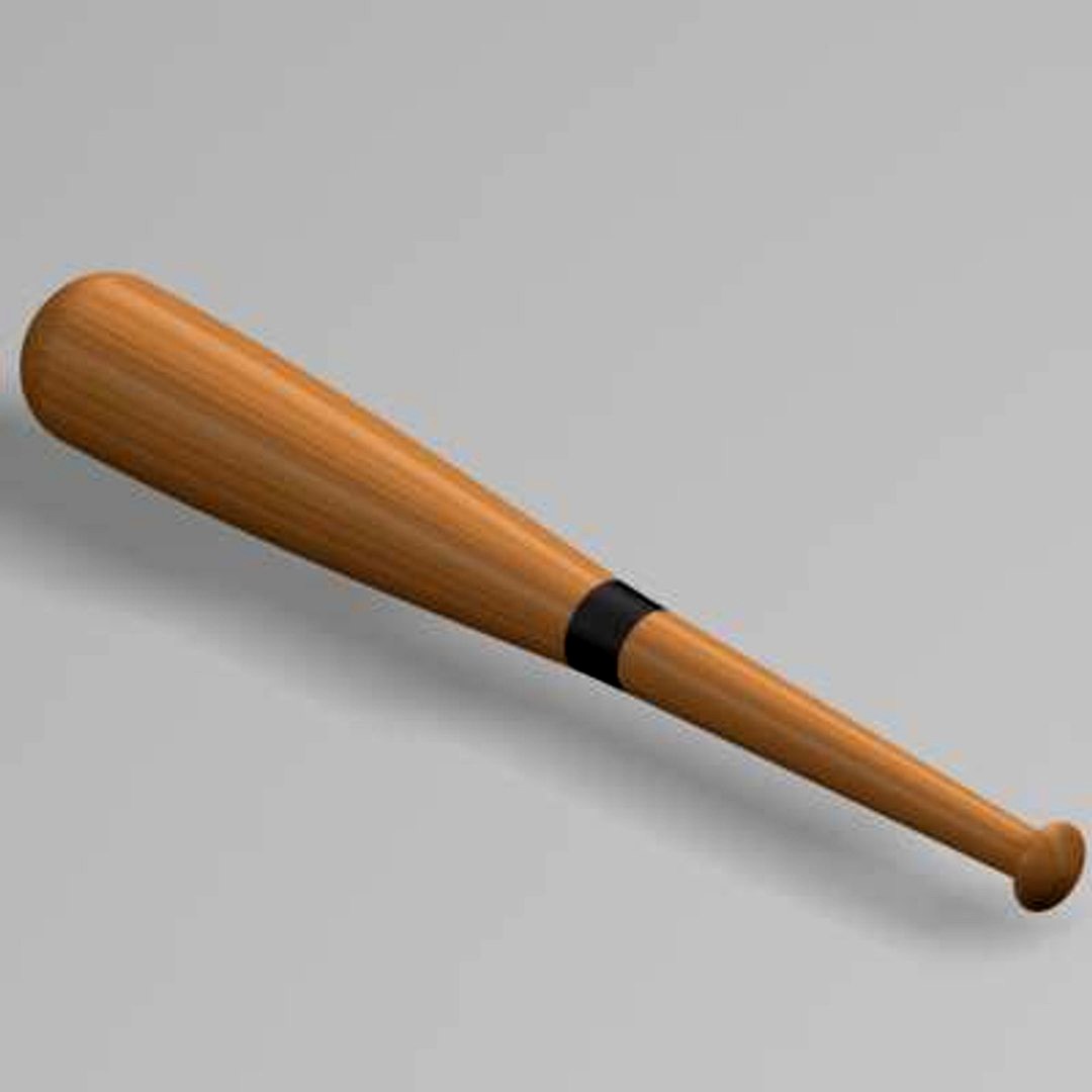 baseball bat