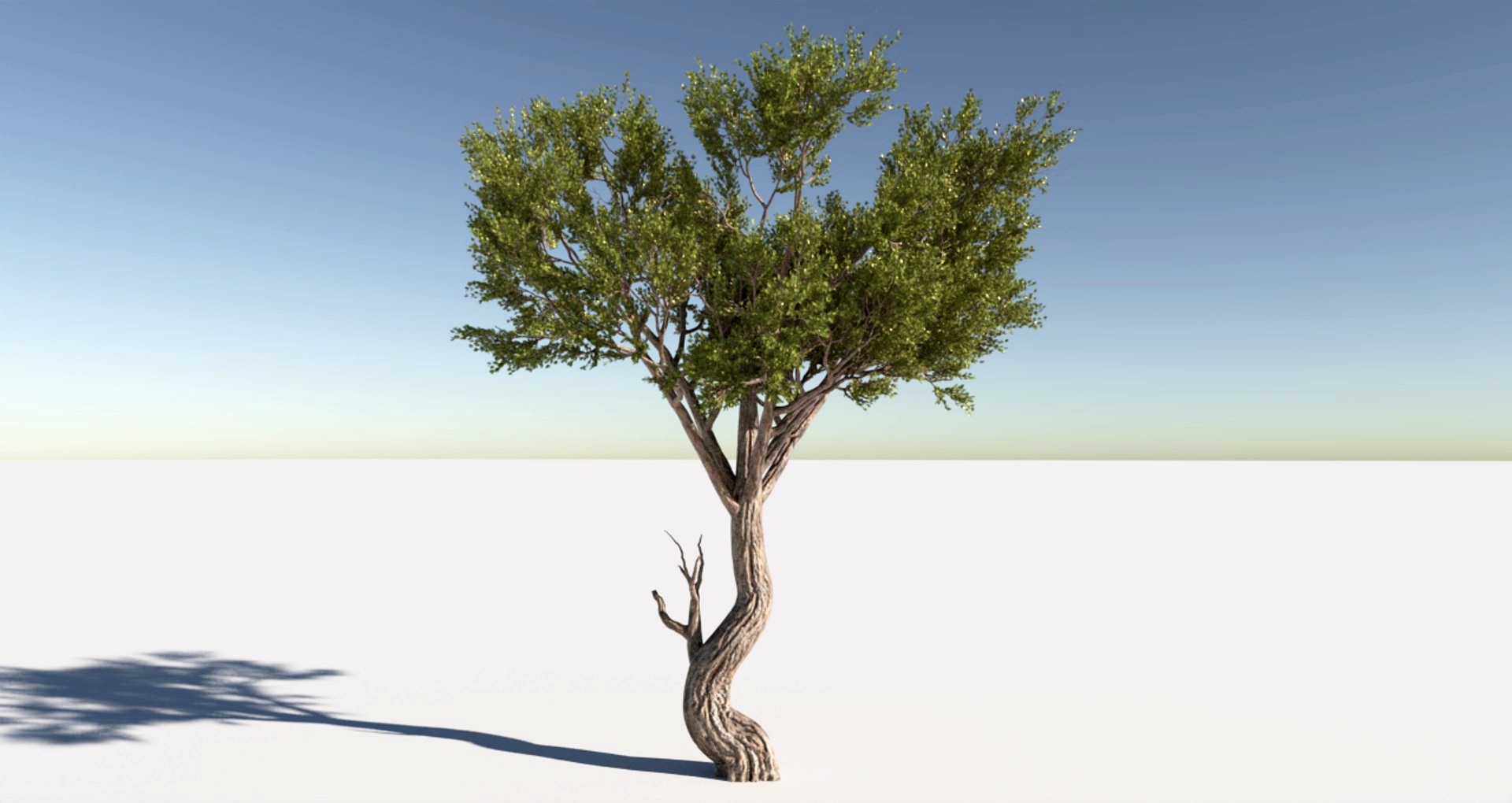 HD Tree