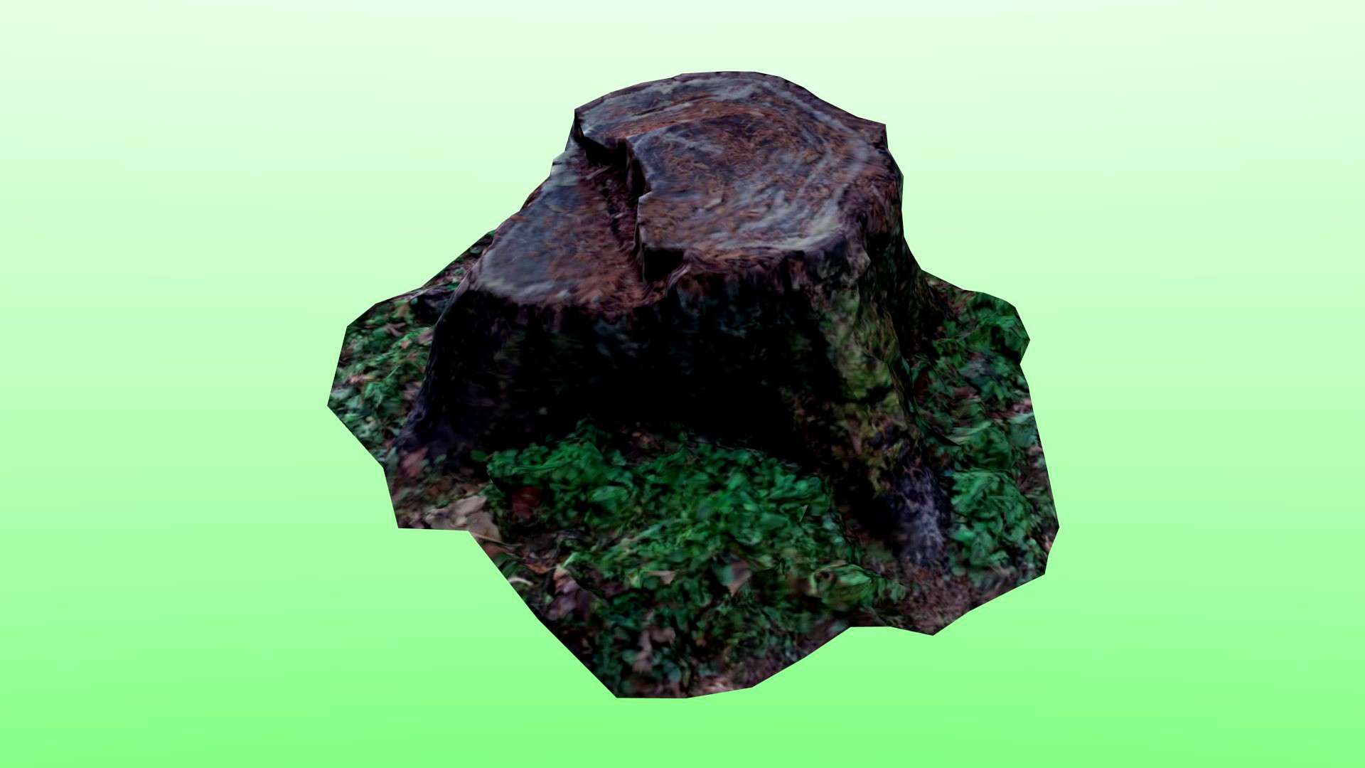 Tree Stump