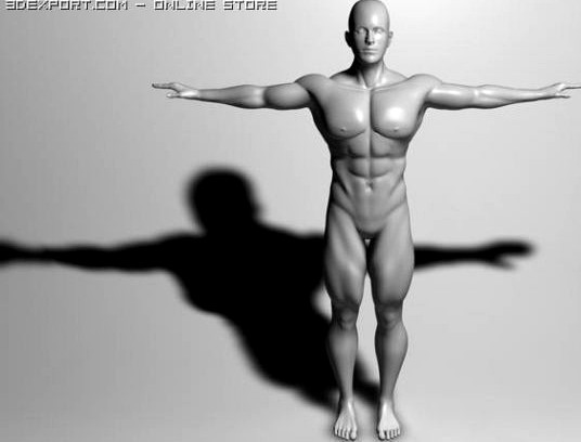 High Quality Muscular Male 3D Model