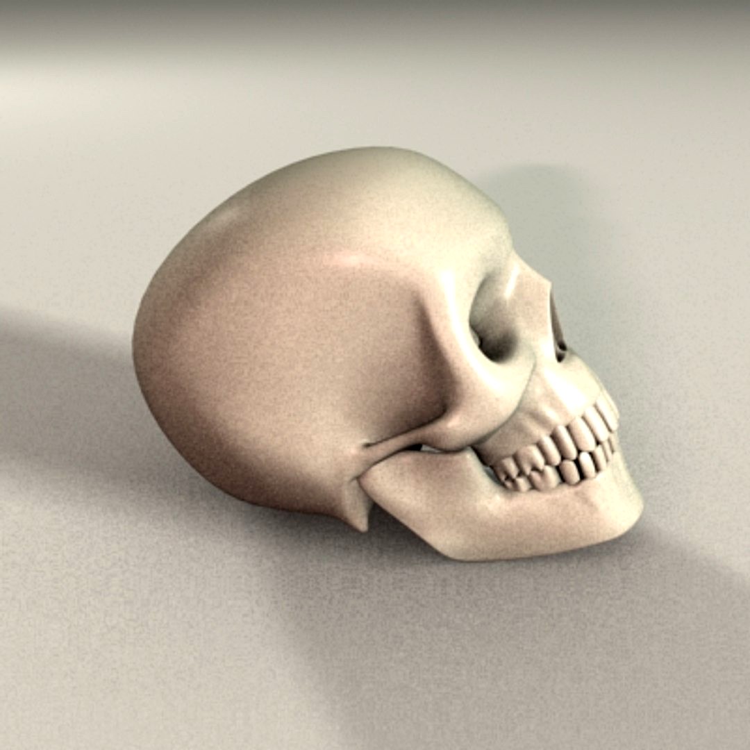 Skull - Finish