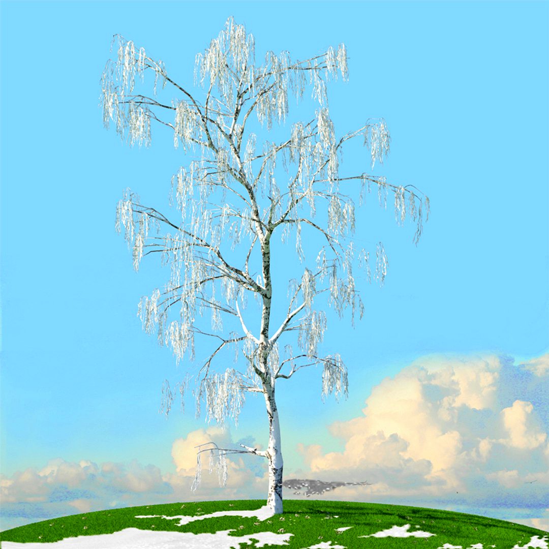Winter trees x8