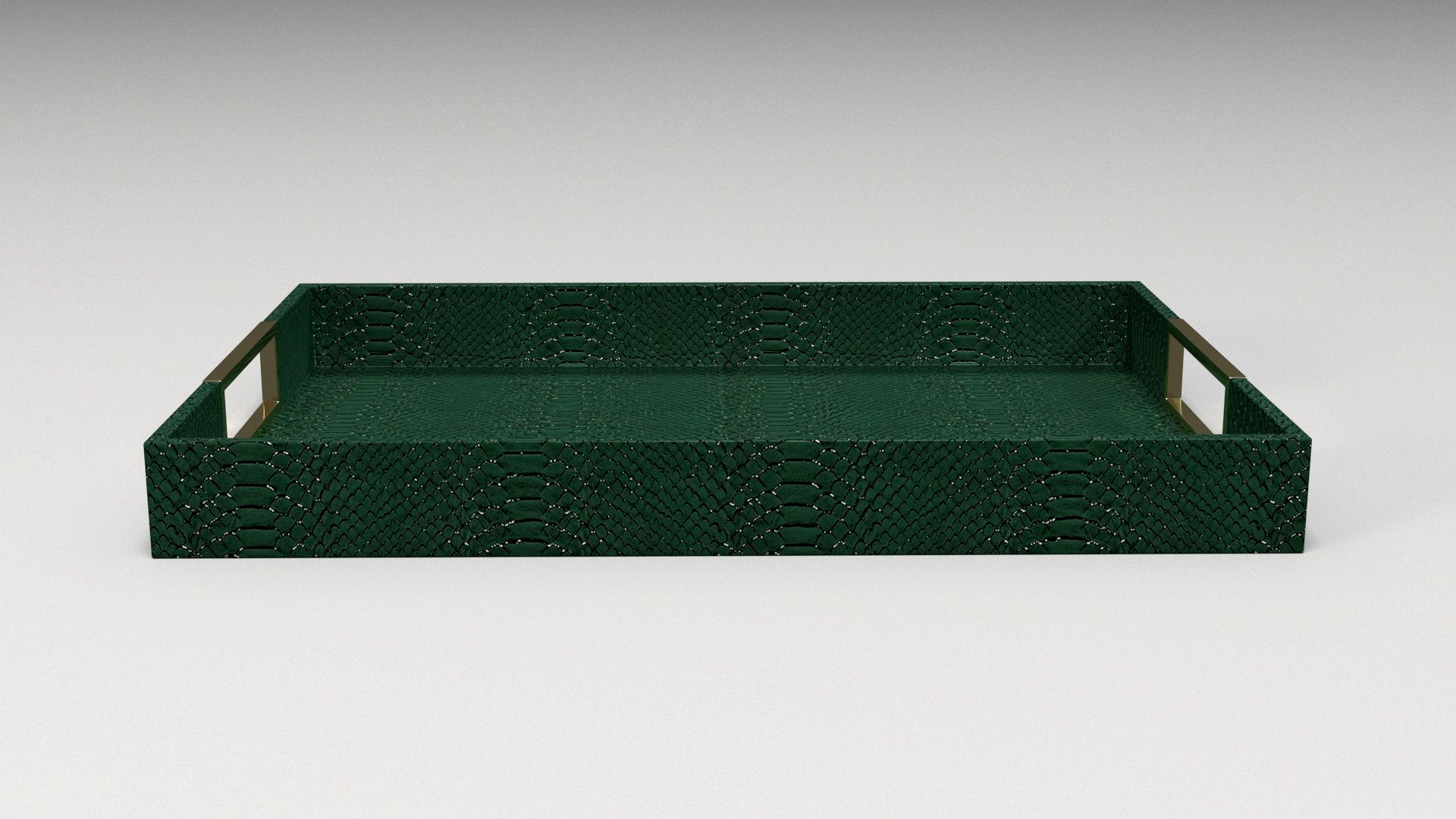 Emerald Snakeskin Tray