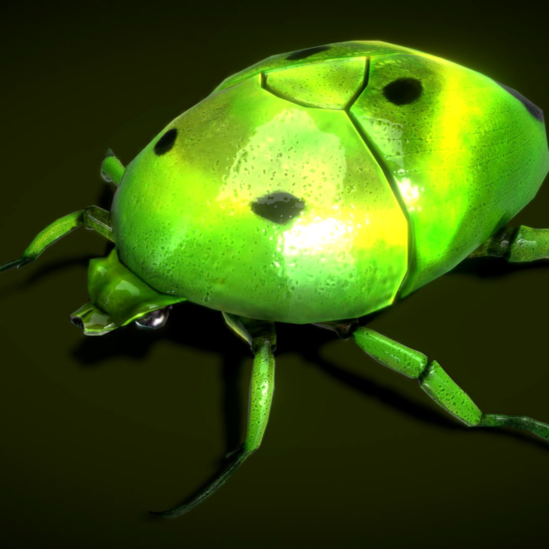 Beetle Lowpoly 3D