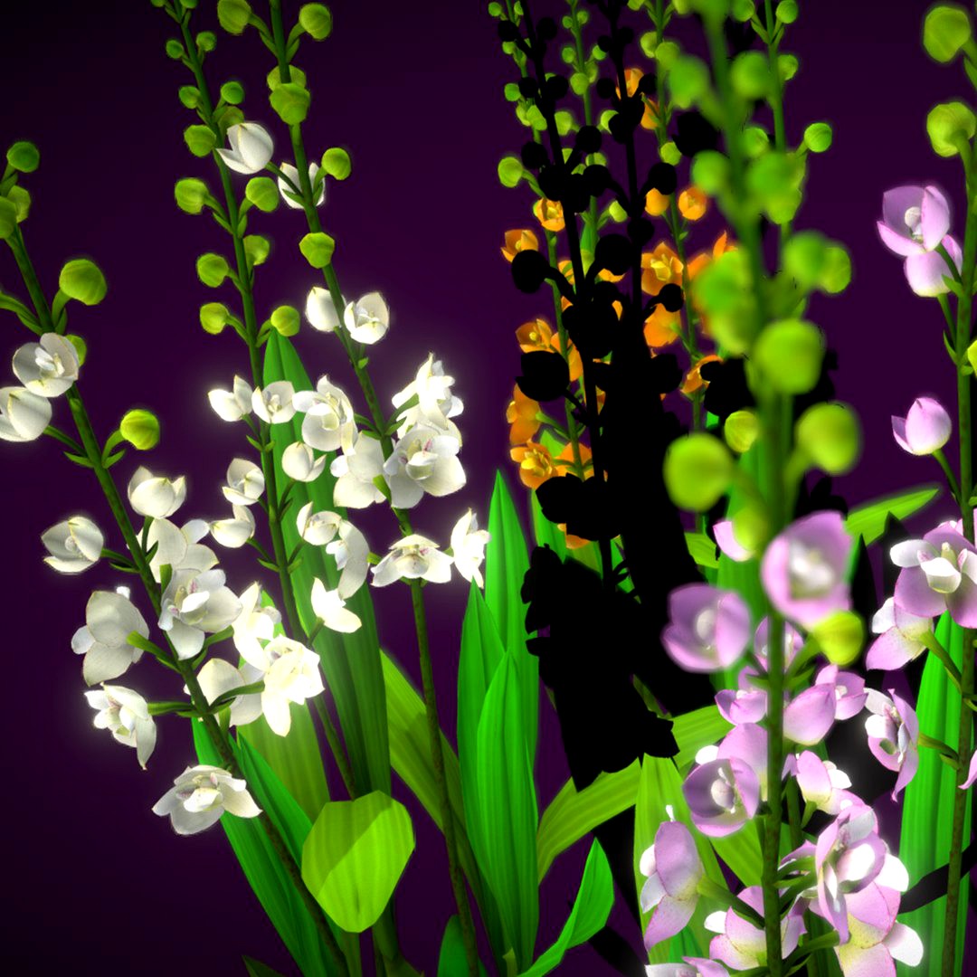 Flower Orchid Low-poly 3D model