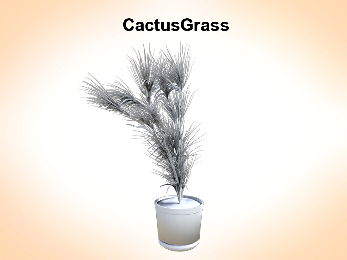 Cactus Grass